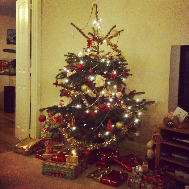 393114_462219967147945_1389980191_n