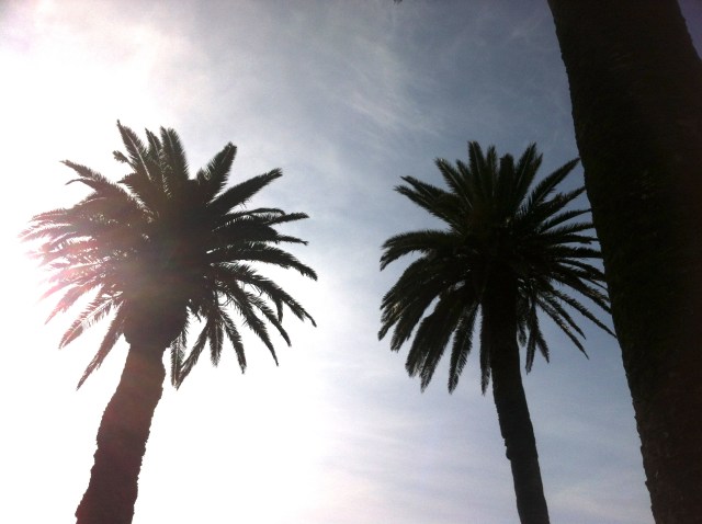 IMG_5050 - Version 2